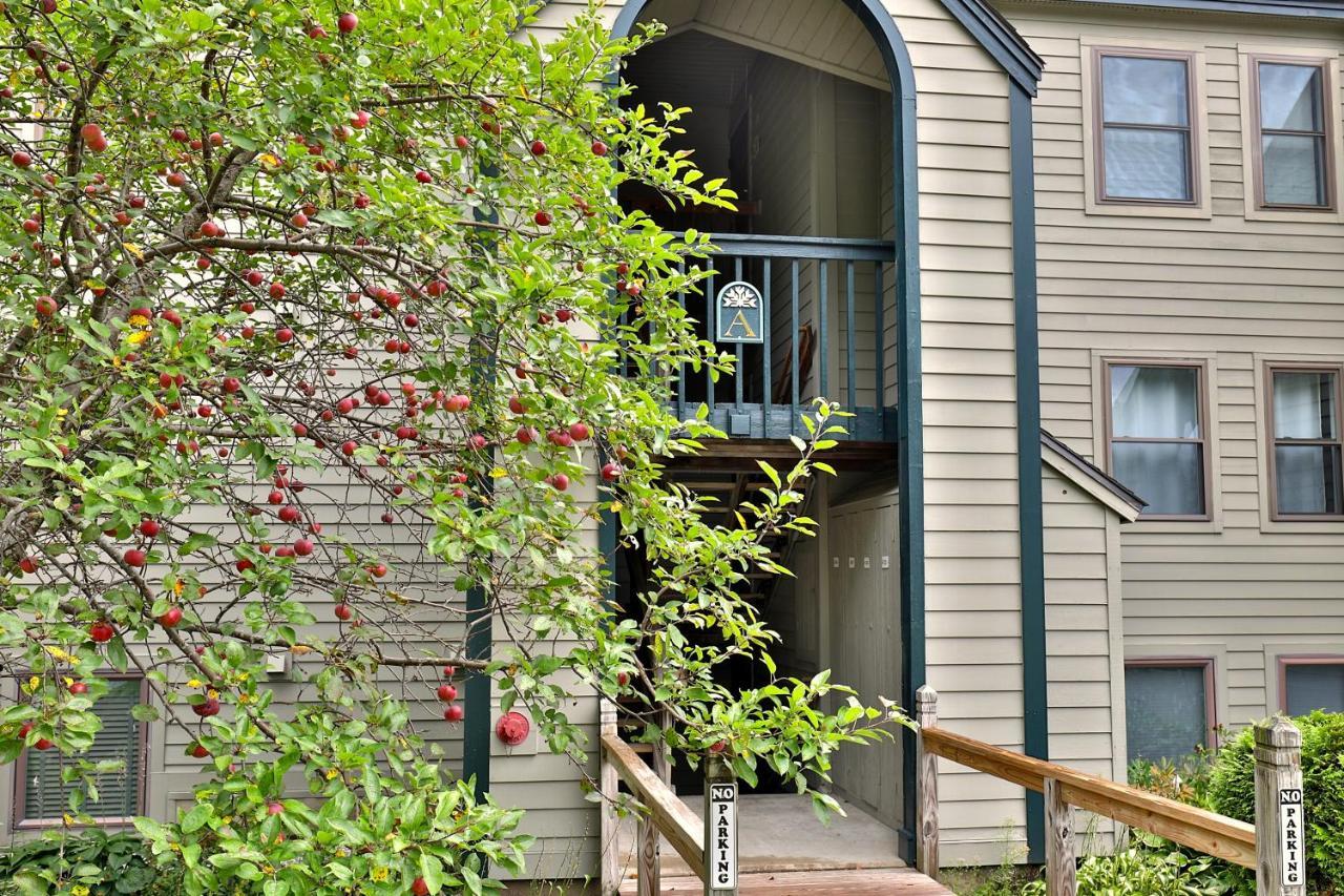 Winter Escape Apartment Ludlow Exterior photo